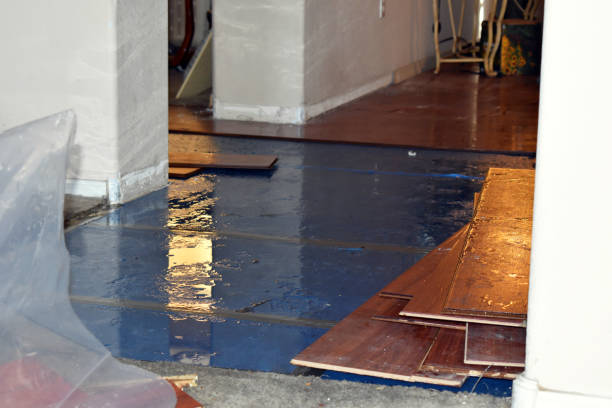 Professional Sewage Cleanup technician working in Le Center, MN